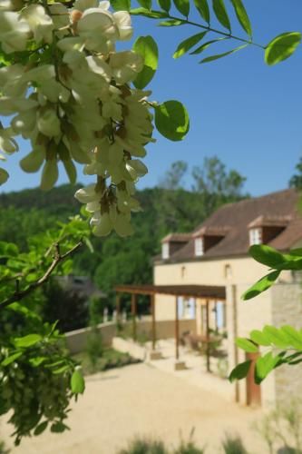 Outdoor Pictures 23
