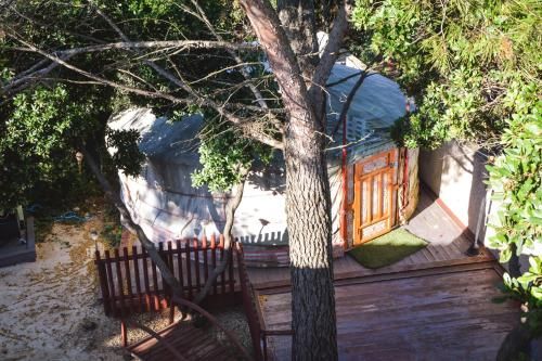Outdoor Pictures 21