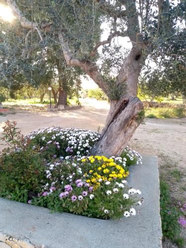 Outdoor Pictures 10