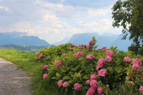 Outdoor Pictures 15