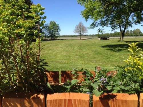 Outdoor Pictures 21