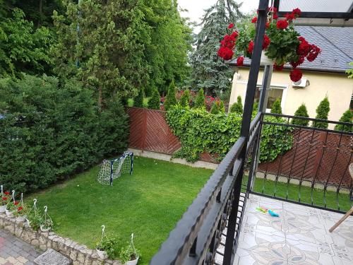 Outdoor Pictures 16