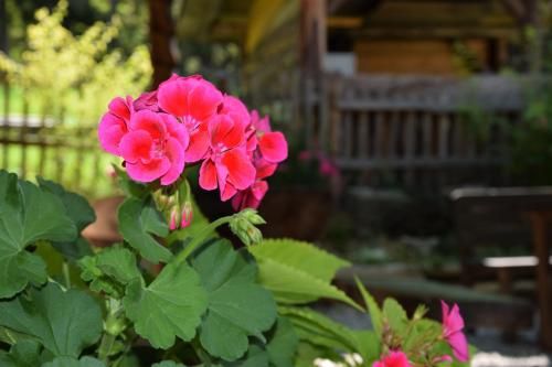 Outdoor Pictures 7