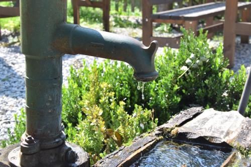 Outdoor Pictures 8