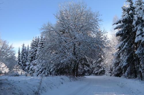Outdoor Pictures 7
