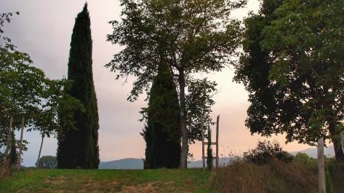Outdoor Pictures 24