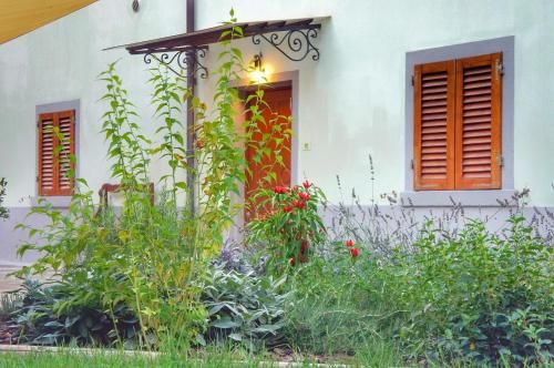 Outdoor Pictures 14