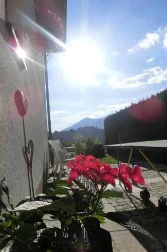 Outdoor Pictures 23