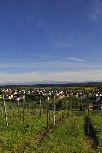 Outdoor Pictures 23