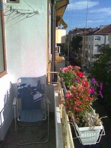 Outdoor Pictures 12
