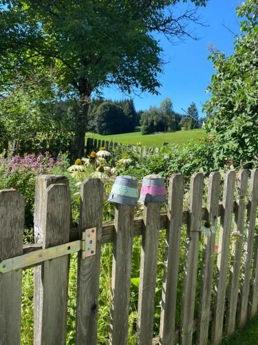 Outdoor Pictures 21
