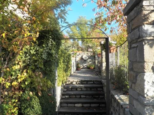 Outdoor Pictures 10