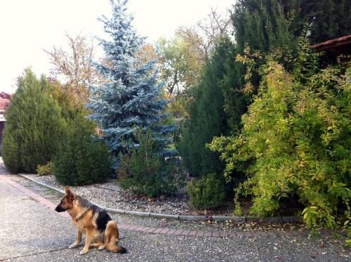 Outdoor Pictures 7