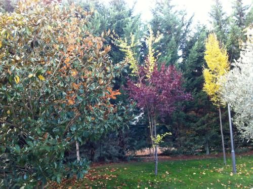Outdoor Pictures 8