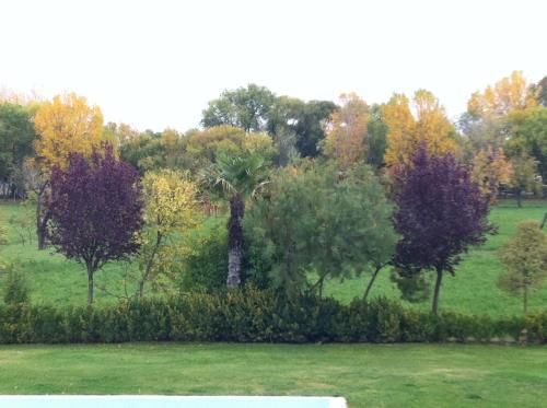Outdoor Pictures 11