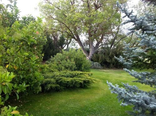 Outdoor Pictures 13