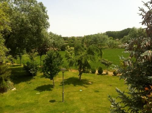 Outdoor Pictures 15