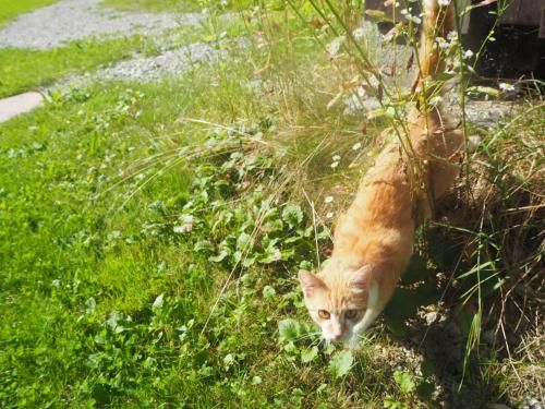 Outdoor Pictures 10
