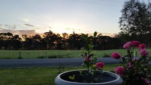 Outdoor Pictures 15