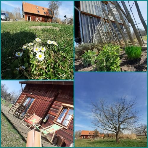 Liljas Haus im Spreewald