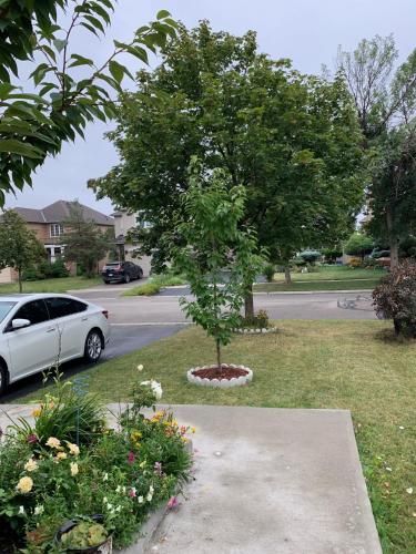 Outdoor Pictures 8