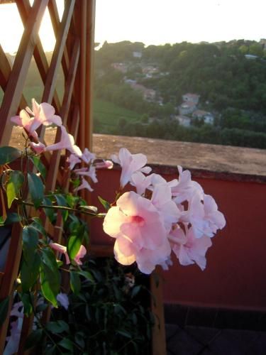 Outdoor Pictures 6