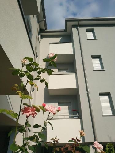 Outdoor Pictures 11