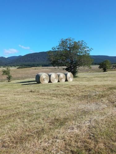 Outdoor Pictures 4