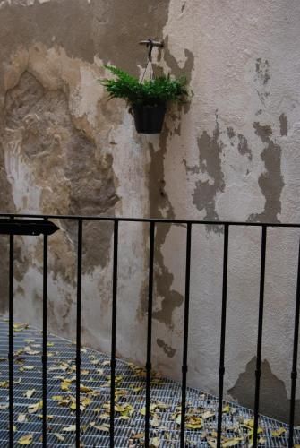 Outdoor Pictures 21