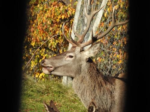 Outdoor Pictures 15