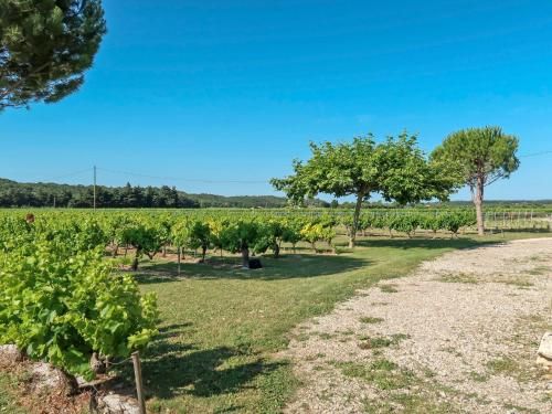 Holiday Home La Cardeline - GRG200