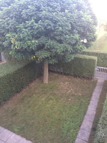 Outdoor Pictures 7