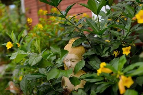 Outdoor Pictures 7