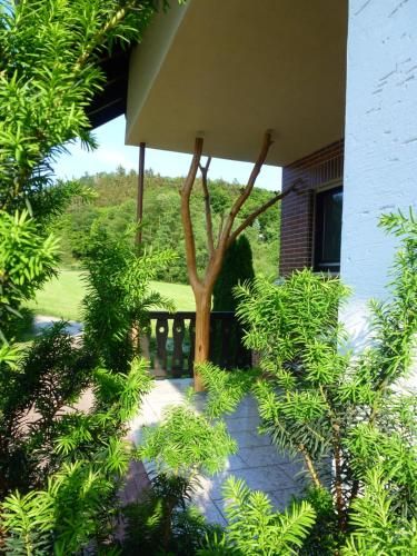 Outdoor Pictures 15