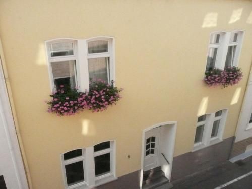 Outdoor Pictures 8
