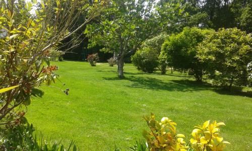 Outdoor Pictures 21
