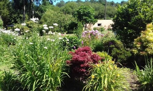 Outdoor Pictures 24