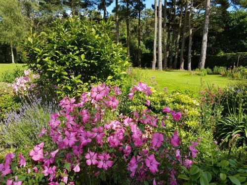 Outdoor Pictures 7
