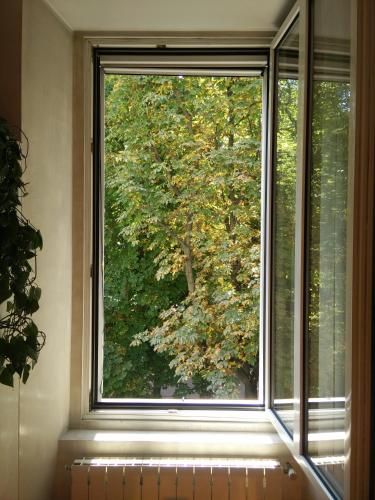Outdoor Pictures 11