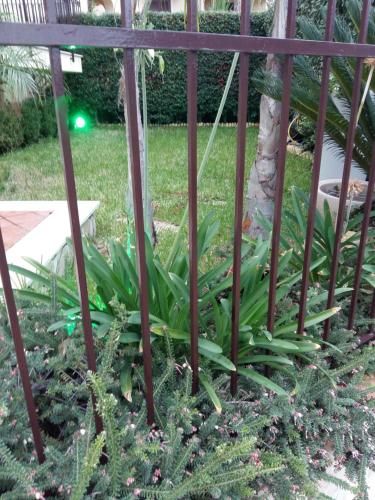 Outdoor Pictures 5