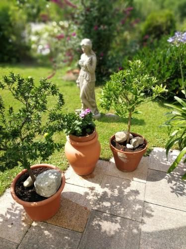 Outdoor Pictures 7