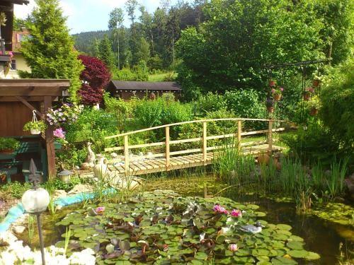 Outdoor Pictures 8