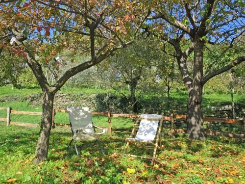 Locazione Turistica Baita Anita - DOD100