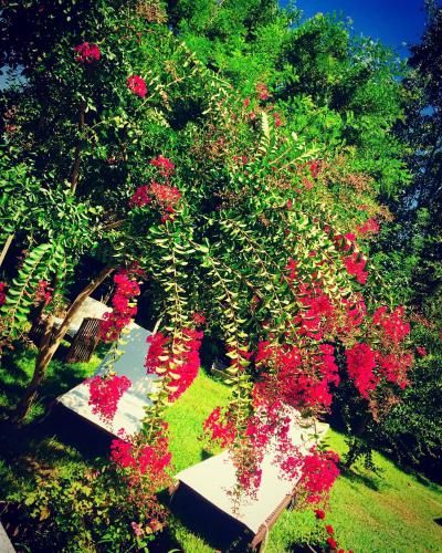 Outdoor Pictures 22
