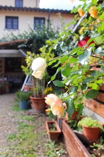 Outdoor Pictures 23