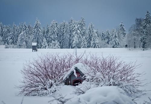 Outdoor Pictures 2