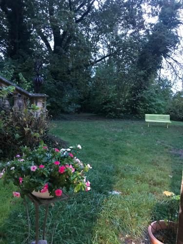 Outdoor Pictures 4