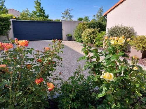 Outdoor Pictures 9