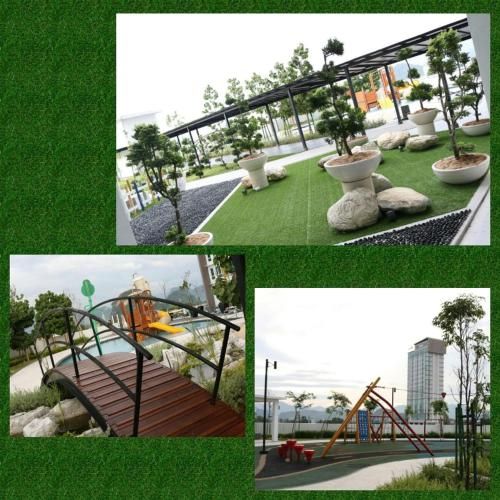 Outdoor Pictures 7