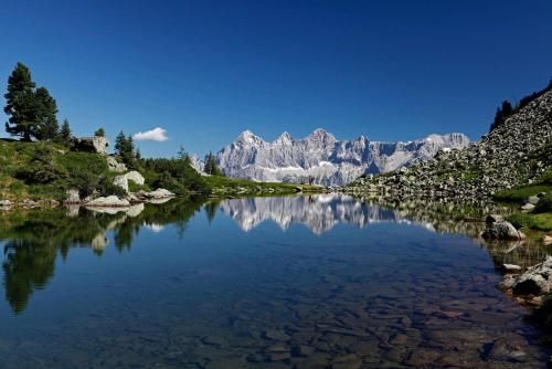 Outdoor Pictures 10